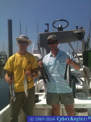 Click to Enlarge Photo