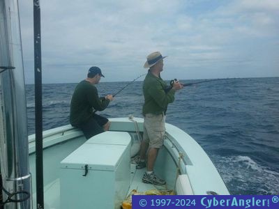 Click to Enlarge Photo