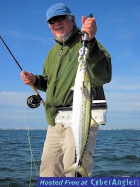 Bill Morrison Sarasota Bay fly Spanish mackerel