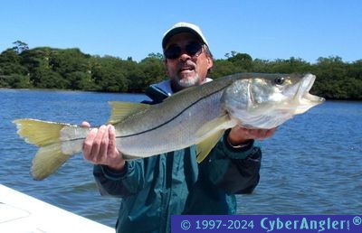 March '13 Gulf Coast Fishing Action - Anna Maria Fishing Charters