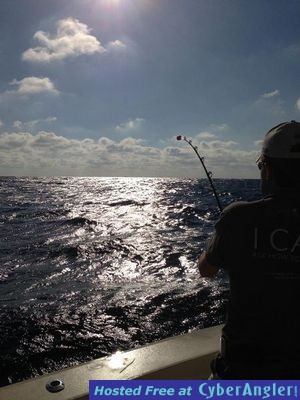 Click to Enlarge Photo