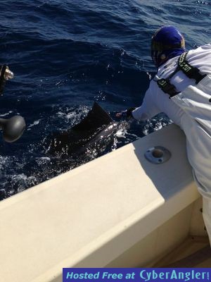 Click to Enlarge Photo