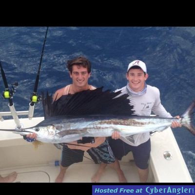 Click to Enlarge Photo