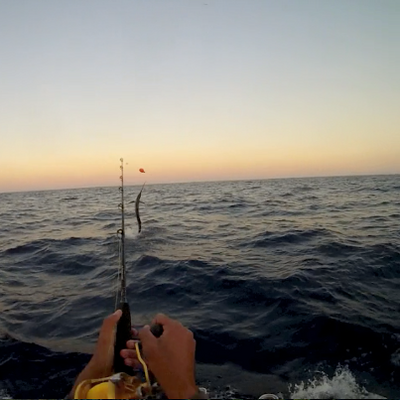 Click to Enlarge Photo