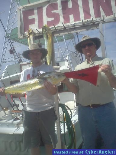 mahi mahi scott