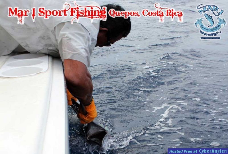 Sailfish in Quepos, Costa Rica March 3 2013