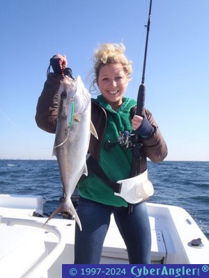 Click to Enlarge Photo