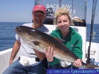 Click to Enlarge Photo