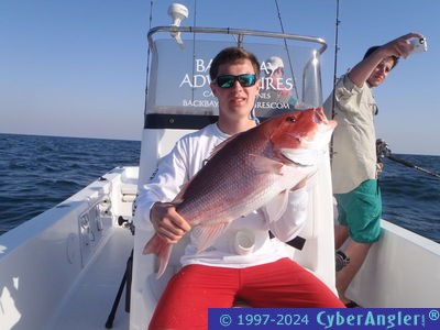 Click to Enlarge Photo