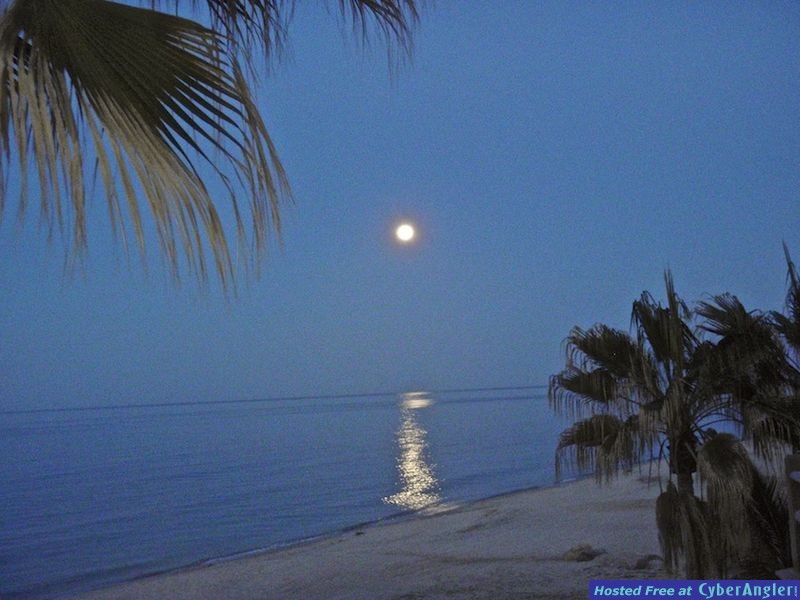 Click to Enlarge Photo