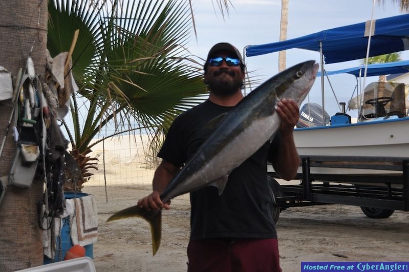 Click to Enlarge Photo