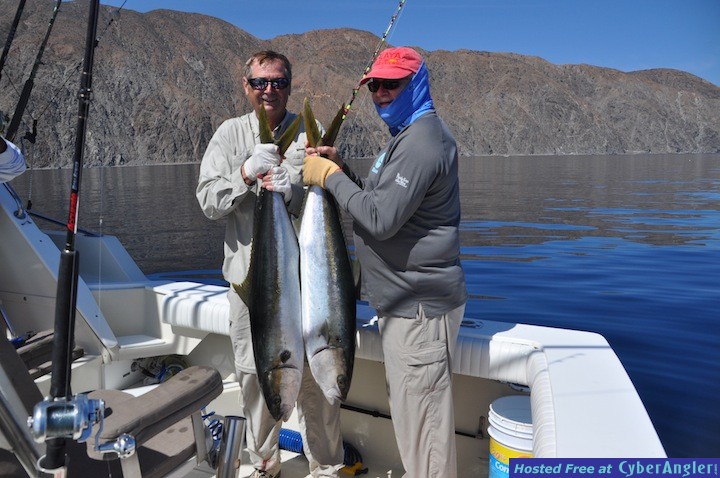 Click to Enlarge Photo