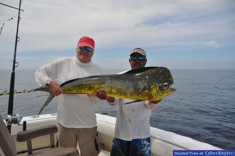 Click to Enlarge Photo