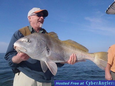 Click to Enlarge Photo