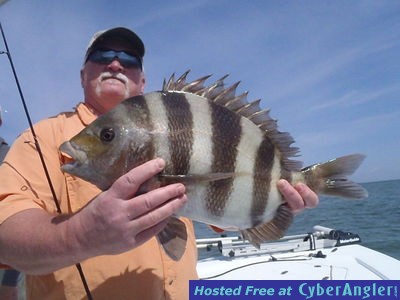 Click to Enlarge Photo