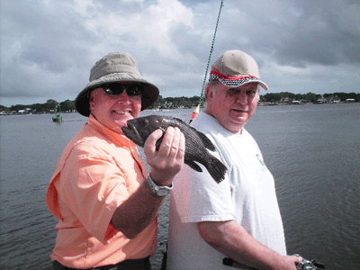 www.captdaves.com