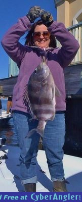 Click to Enlarge Photo