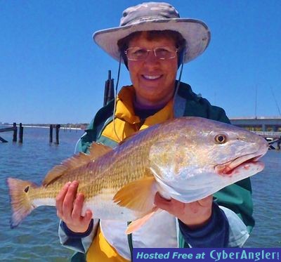 Click to Enlarge Photo