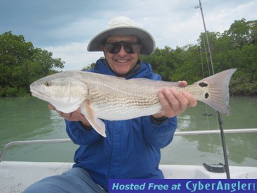 25 1/2-inch redfish