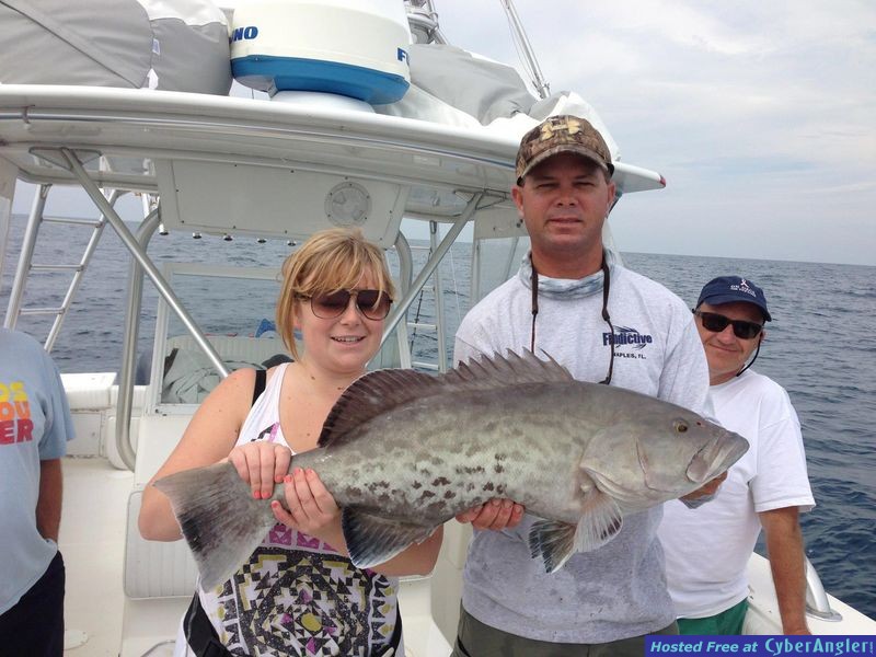 nice_black_grouper