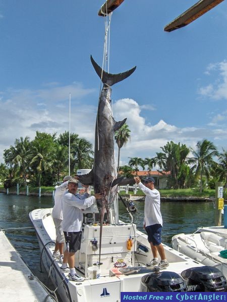 109&quot; Swordfish - Miami, FL