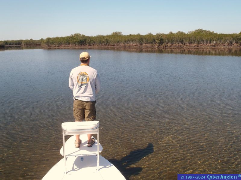 avery_pics_018