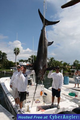 109&quot; Swordfish - Miami, FL