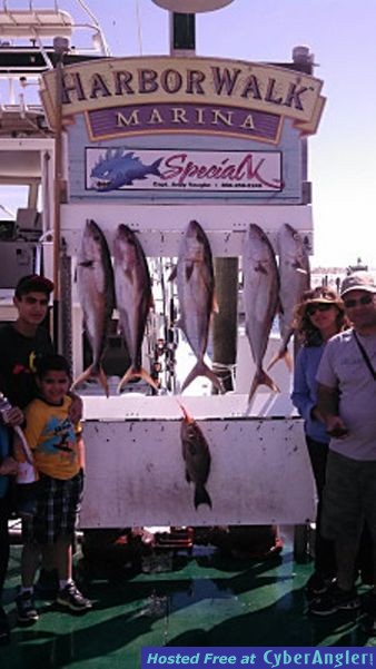 IMG_20130402_145959_075_800x600