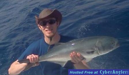 Bluefish