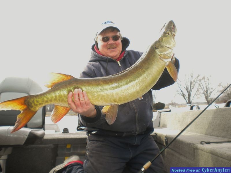 44 1/2 Inch Skinner Lake Musky