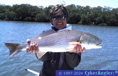 Gulf Coast Redfish