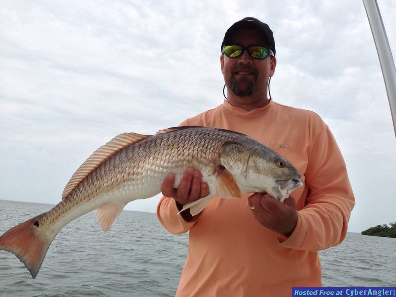 Sanibel Captiva Redfish