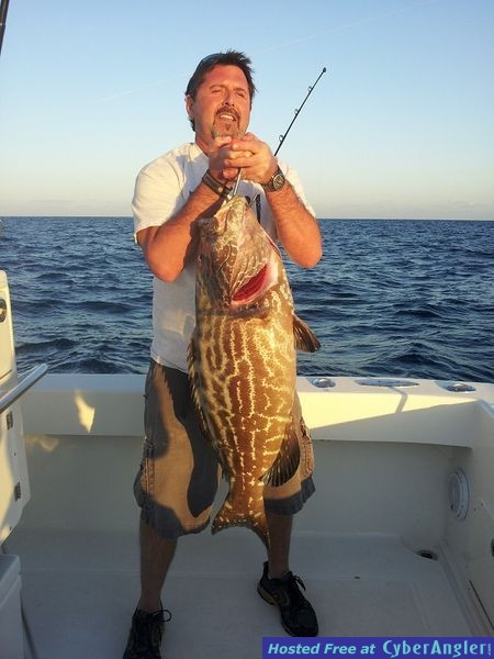 Black_Grouper_1