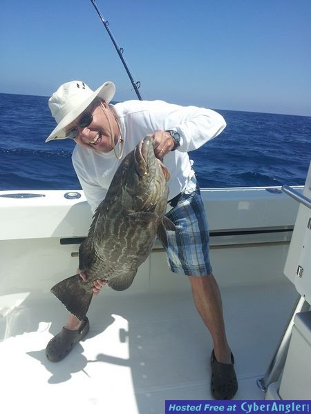 black_grouper_2