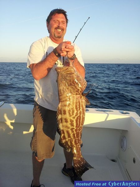 black_grouper_4