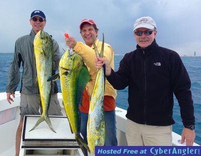 Click to Enlarge Photo