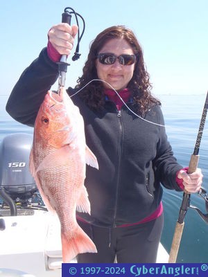 Click to Enlarge Photo