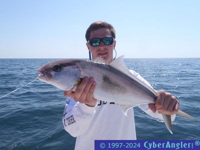 Click to Enlarge Photo