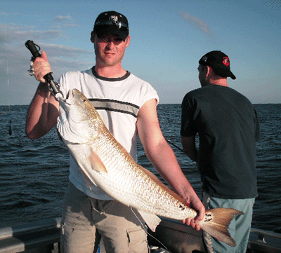 www.captdaves.com