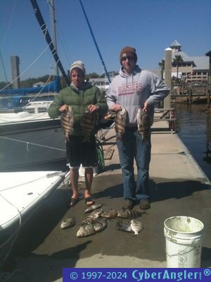 Click to Enlarge Photo