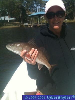 Click to Enlarge Photo