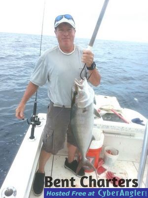 Amberjack caught with Bent Charters Fishing