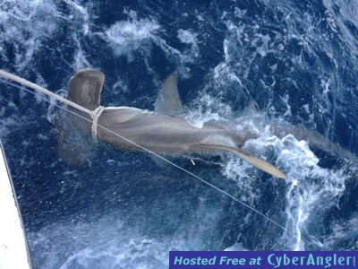 Click to Enlarge Photo