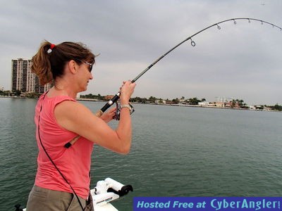 Click to Enlarge Photo