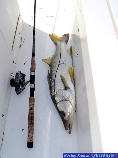 Snook_n_Mustad_hook