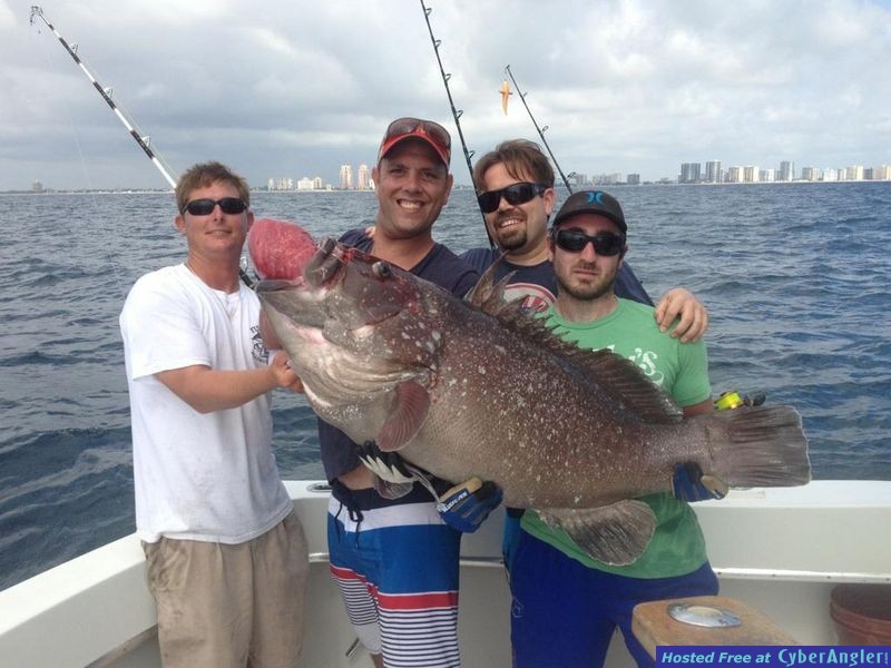 warsaw grouper