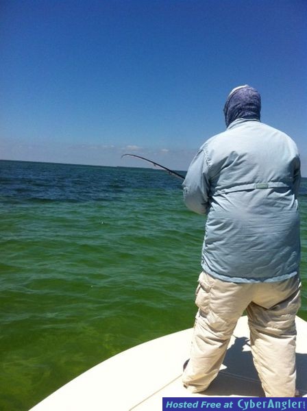 tarpon_on_fly3