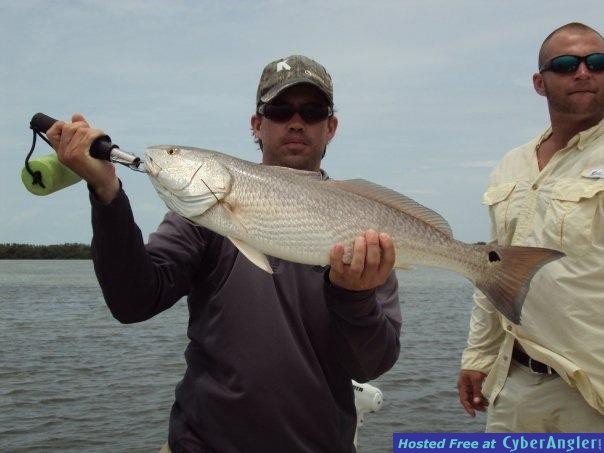 Adam_Redfish