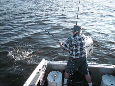 www.captdaves.com