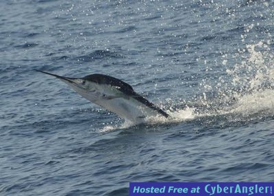 Click to Enlarge Photo